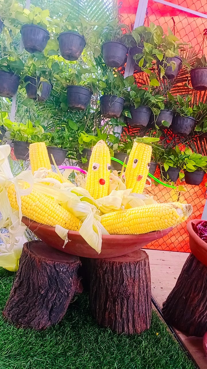 Cocktail Catering Services